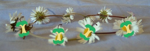 Picture of a daisy chain on a table with the nf-core apple logo on each of the foreground flowers.