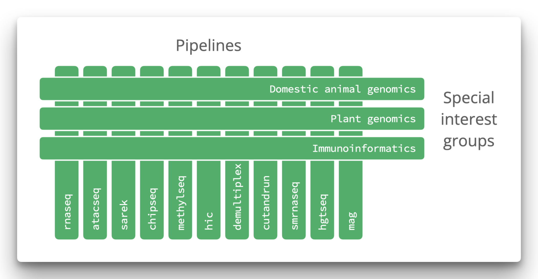 Cross-functional pipelines and interest group structure