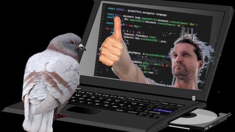 Badly photoshopped image of a pigeon developing code on a laptop